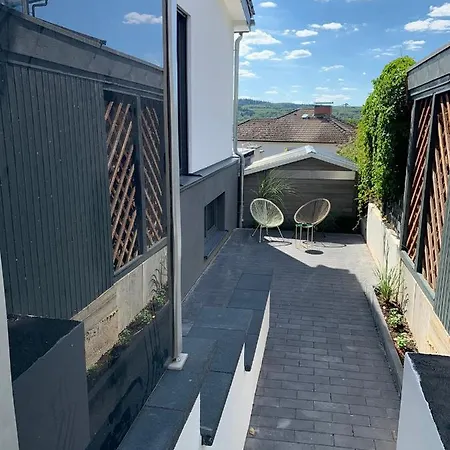 Schickes Apartment Mit Direkter Waldrandlage Geisenheim Exterior photo